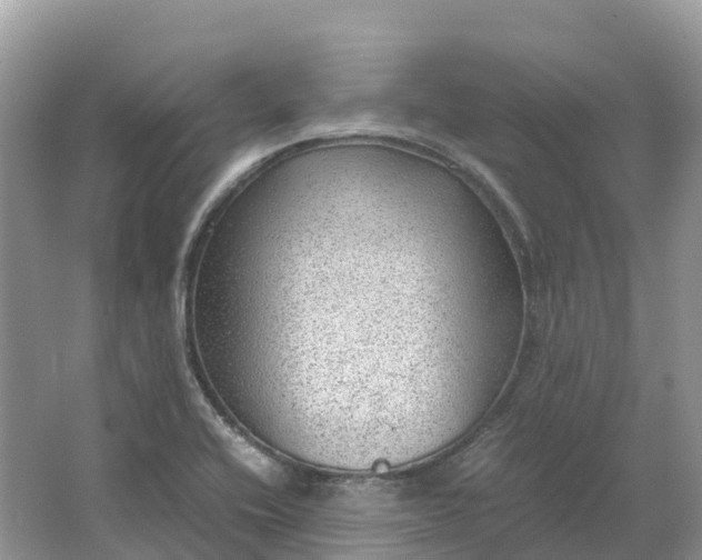 X0000064751416200602241818