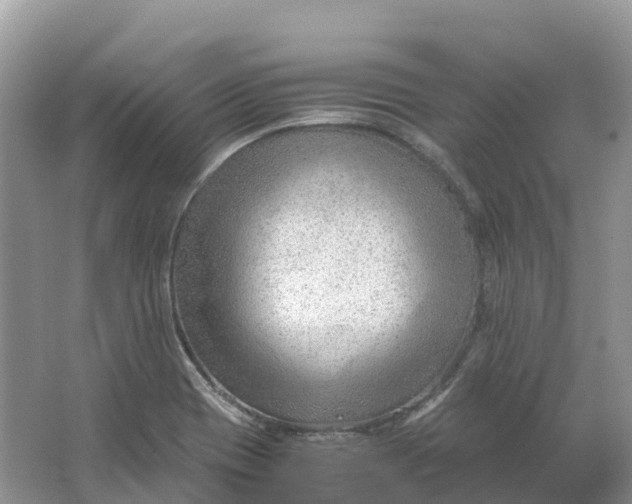 X0000064751417200602241818