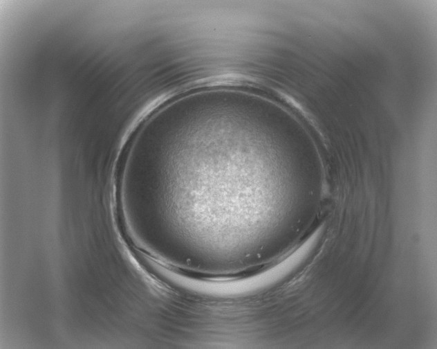 X0000064751418200602241818