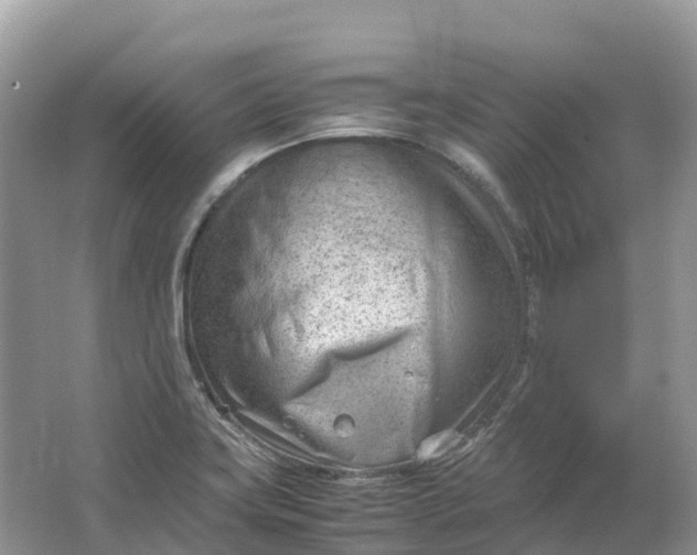 X0000064751419200602241818