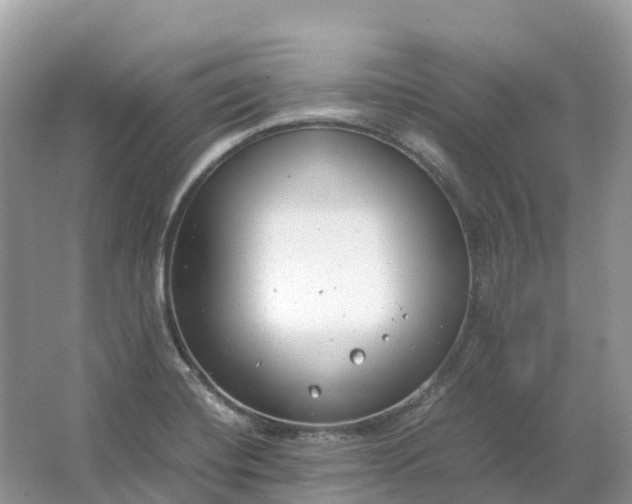 X0000064751420200602241818