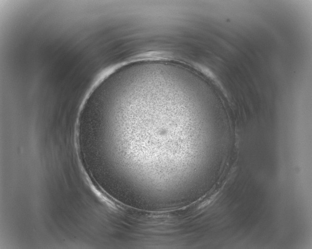 X0000064751421200602241818