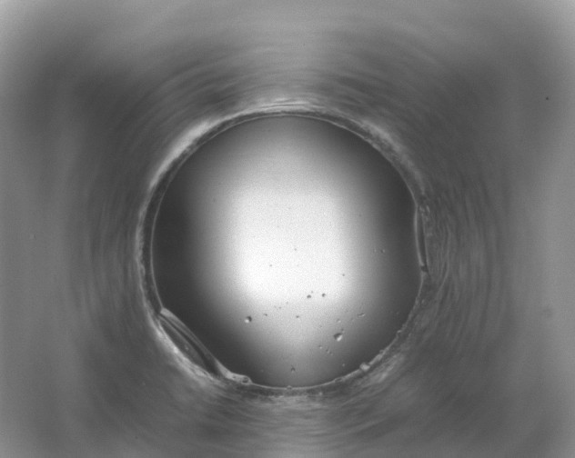 X0000064751422200602241818