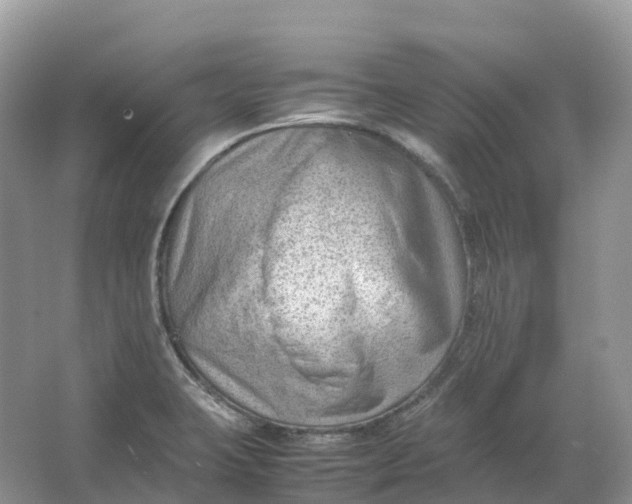 X0000064751423200602241818