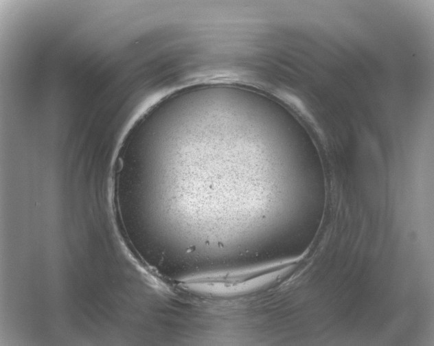 X0000064751424200602241818