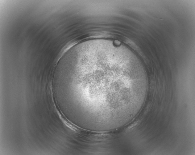 X0000064751425200602241818