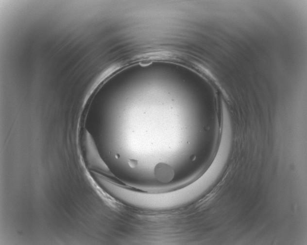 X0000064751426200602241818