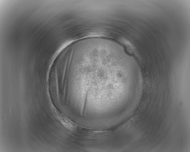 X0000064751427200602241818