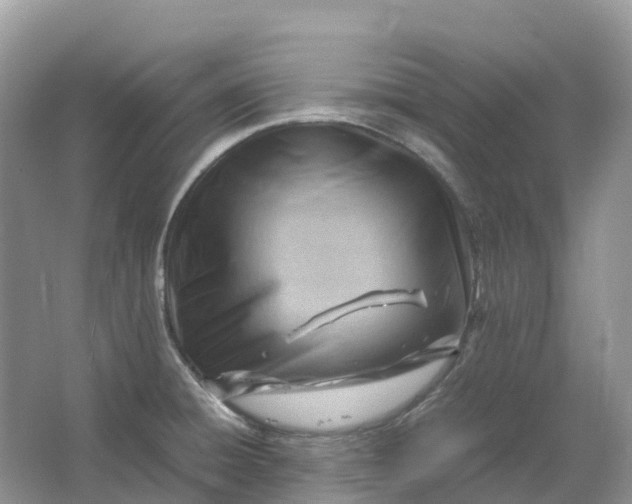 X0000064751428200602241818