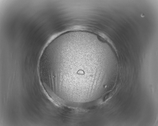 X0000064751429200602241818