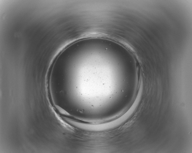 X0000064751430200602241818