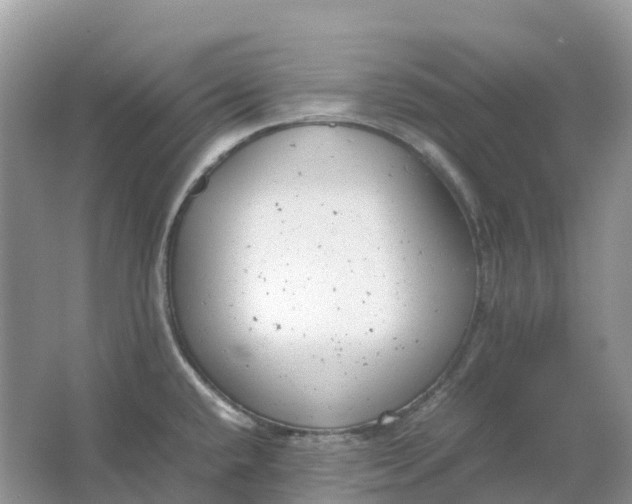 X0000064751432200602241819