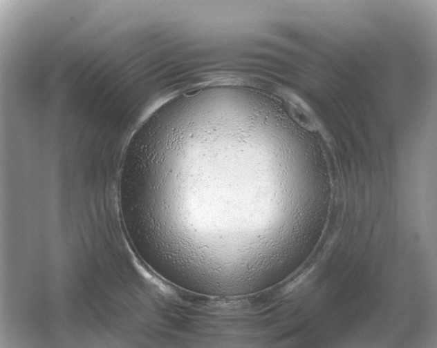 X0000064751433200602241819