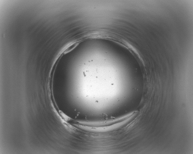 X0000064751434200602241819