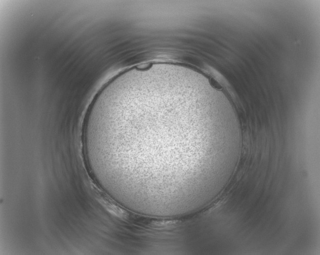 X0000064751435200602241819