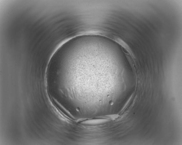 X0000064751436200602241819