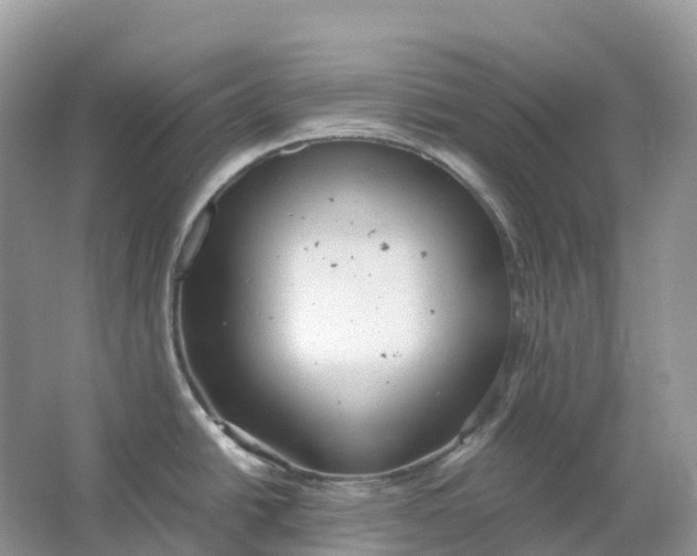 X0000064751438200602241819