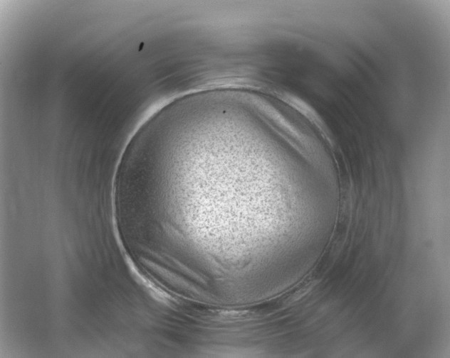 X0000064751439200602241819