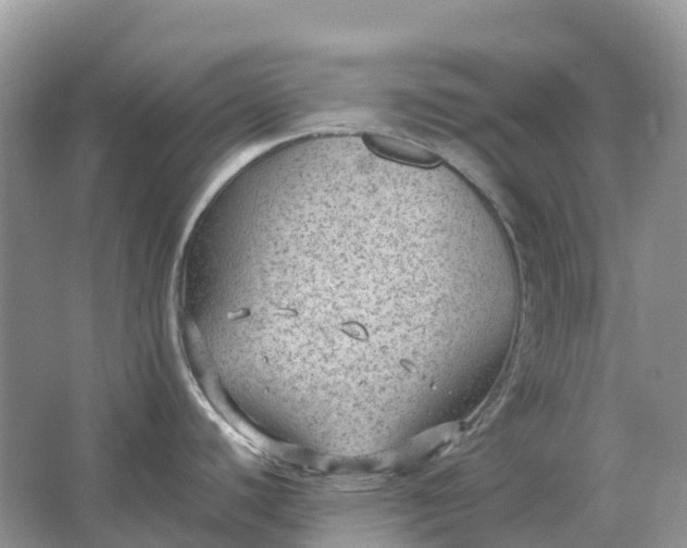 X0000064751440200602241819