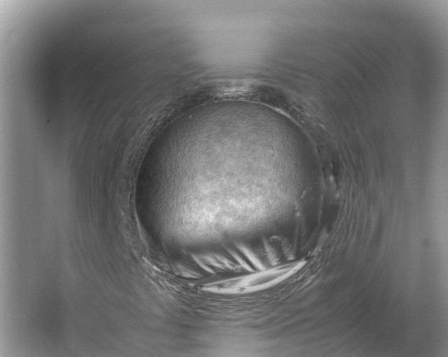 X0000064751441200602241818