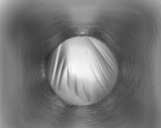 X0000064751442200602241818