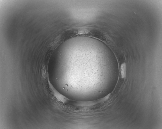 X0000064751443200602241817