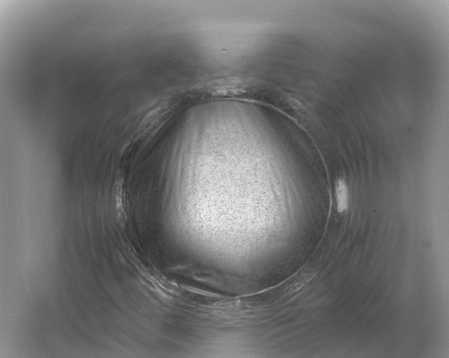 X0000064751444200602241817