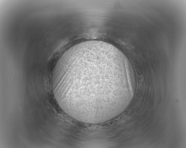 X0000064751446200602241817