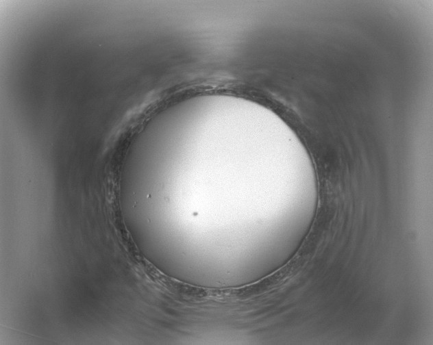 X0000064751447200602241817