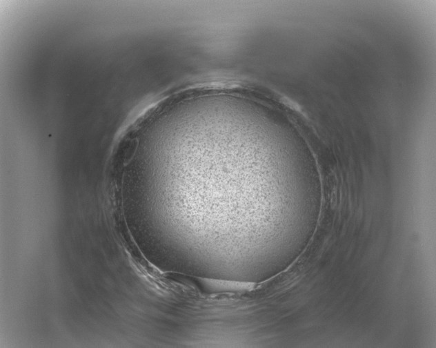 X0000064751448200602241817