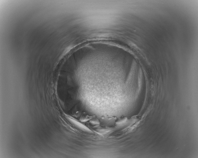 X0000064751449200602241817