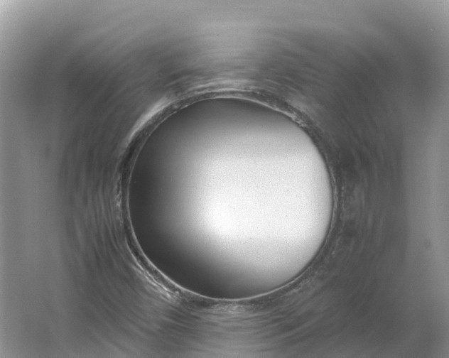 X0000064751450200602241817