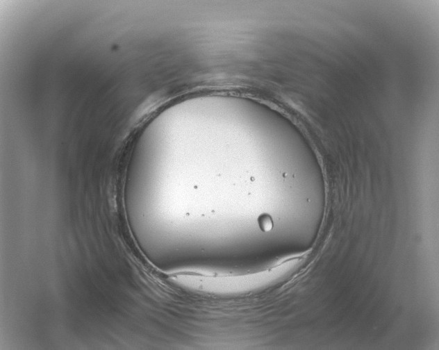 X0000064751451200602241817