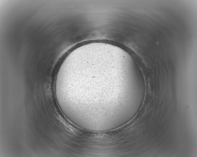 X0000064751452200602241817