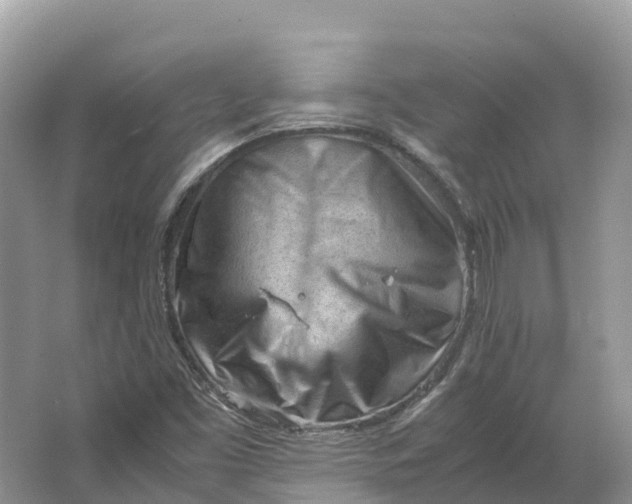 X0000064751453200602241817