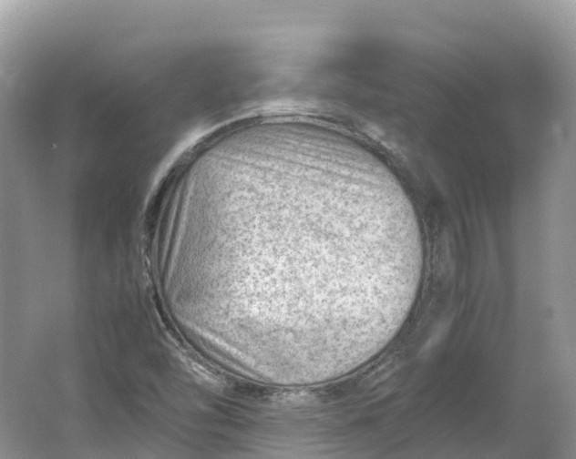 X0000064751454200602241817