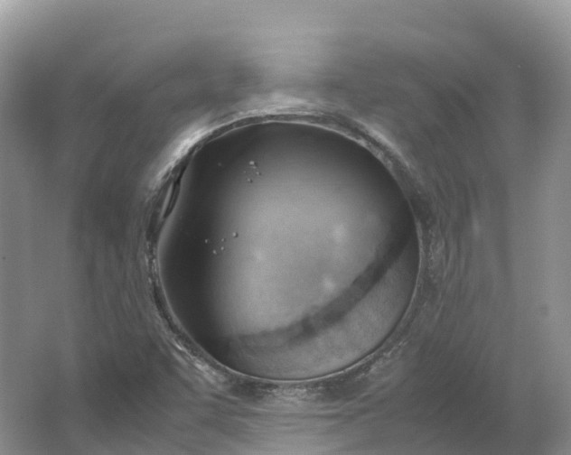 X0000064751455200602241817