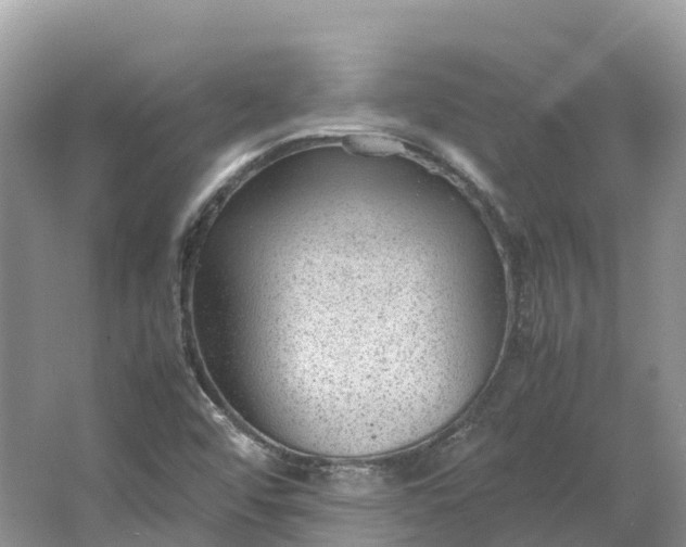 X0000064751456200602241817