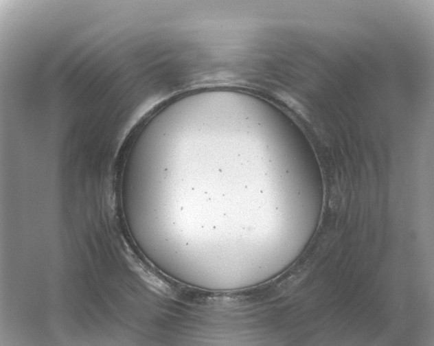 X0000064751458200602241817