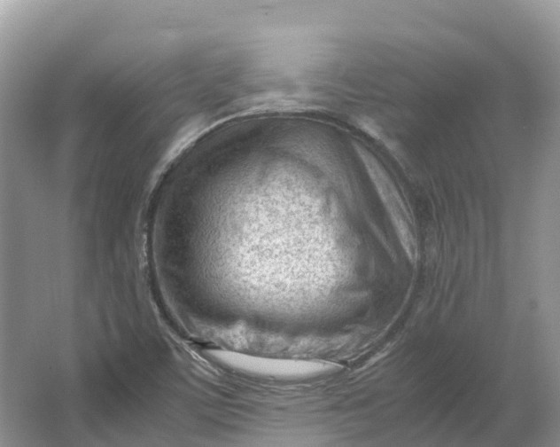 X0000064751459200602241817