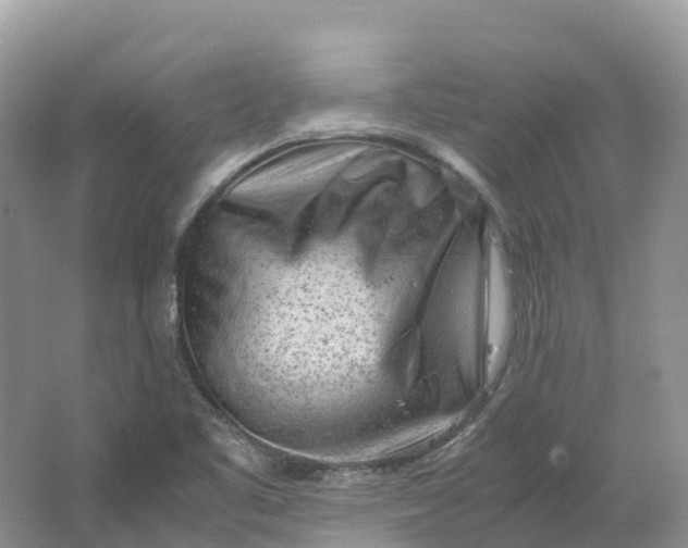 X0000064751461200602241817