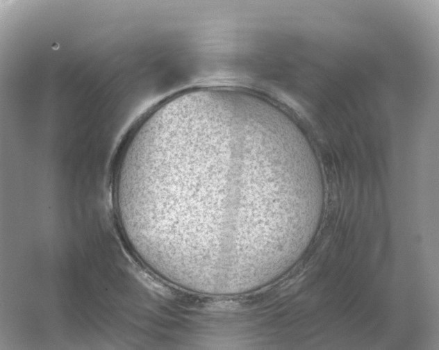 X0000064751462200602241817