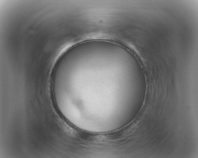 X0000064751463200602241817