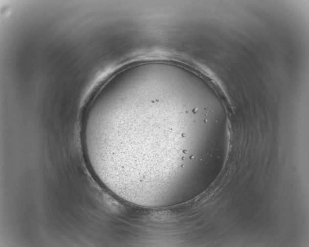 X0000064751464200602241817