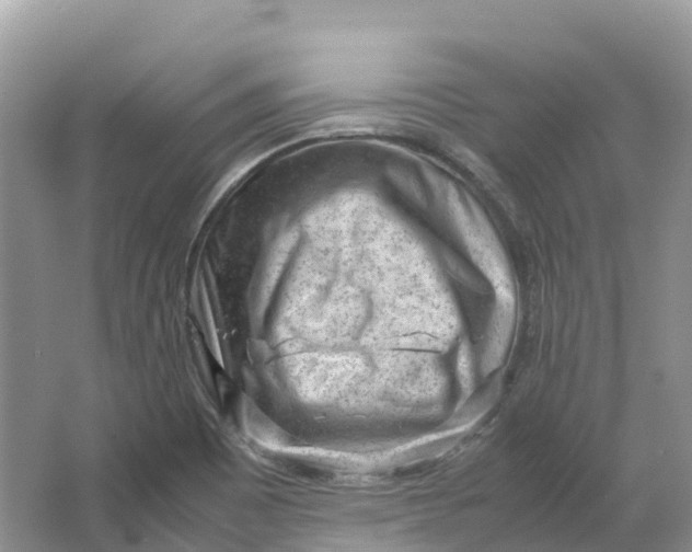 X0000064751465200602241817