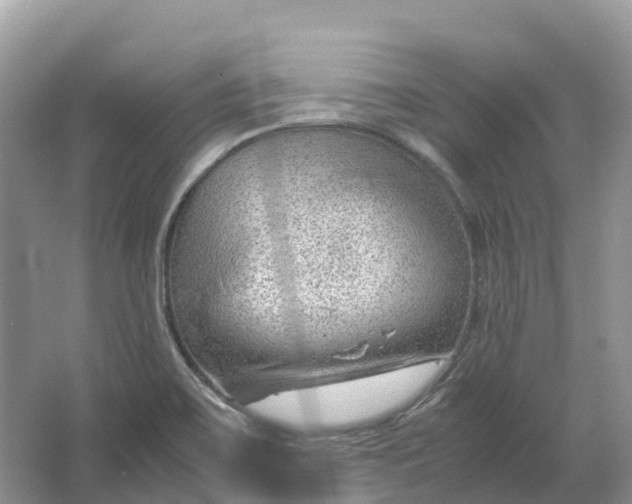 X0000064751467200602241817