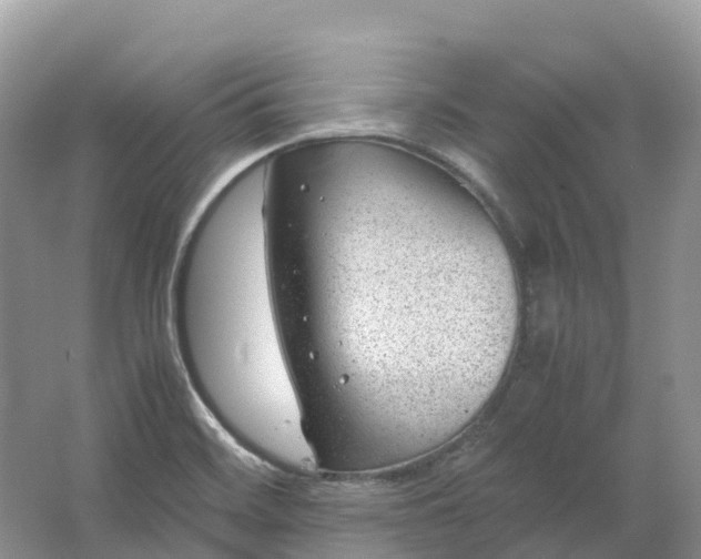 X0000064751468200602241817