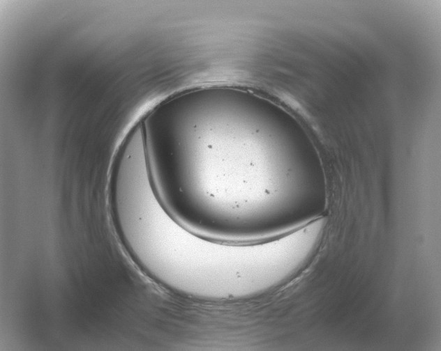 X0000064751469200602241817