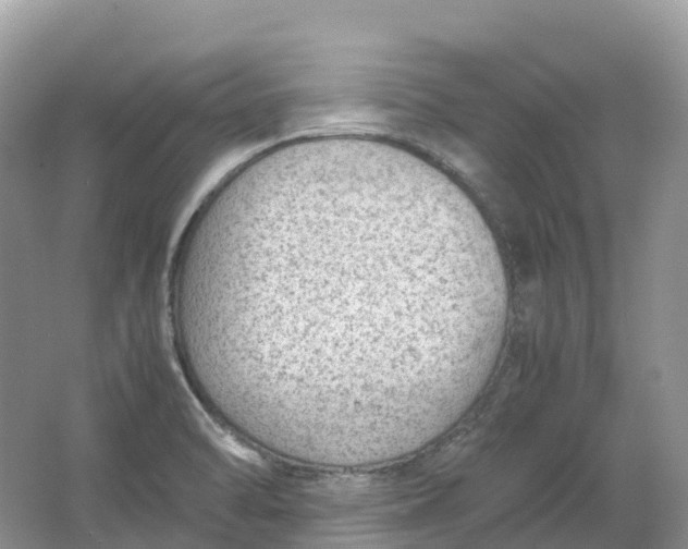 X0000064751470200602241817