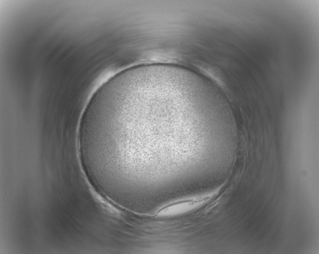 X0000064751471200602241817